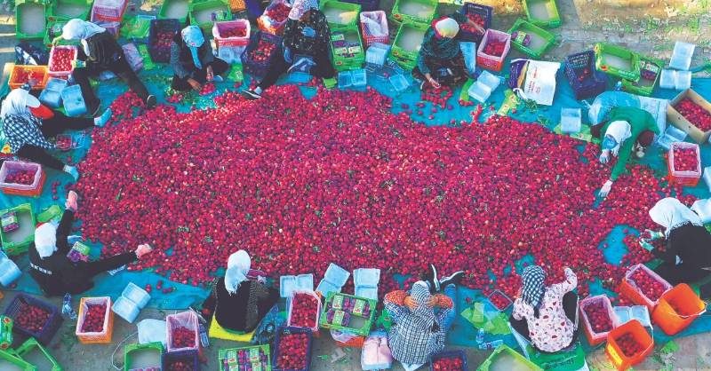 1768466759689245.jpg 12.jpg