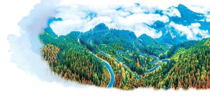 1768468562884498.jpg 1768468562884498.jpg