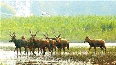 1768468657583674.jpg 13.jpg