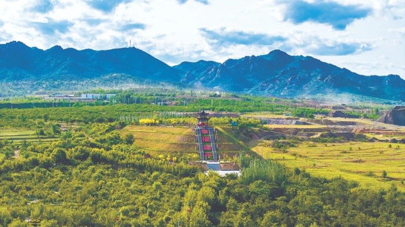 1768518845595629.jpg 2.jpg