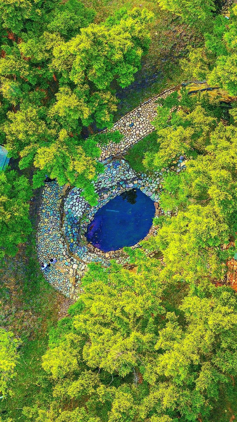 1768518870548417.jpg 3.jpg