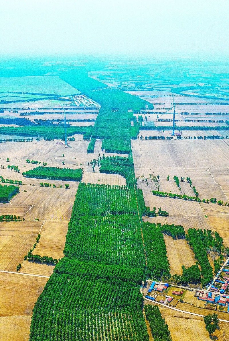 1768518903826951.jpg 4.jpg