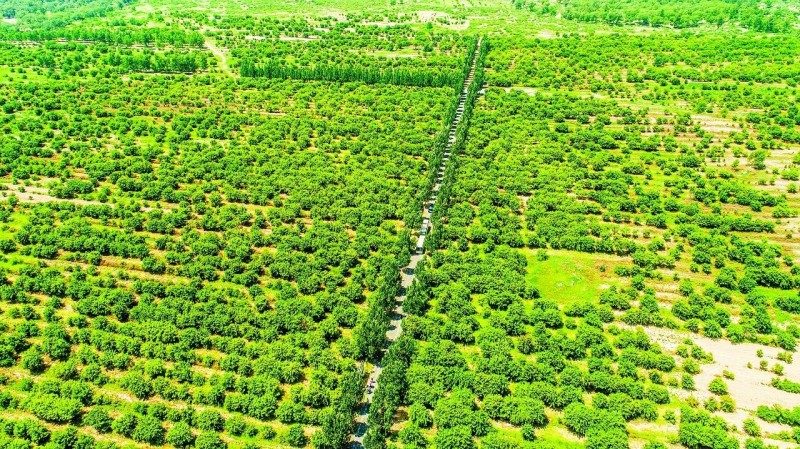 1768518928993758.jpg 5.jpg