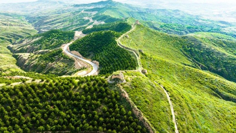 1768519063902083.jpg 7.jpg