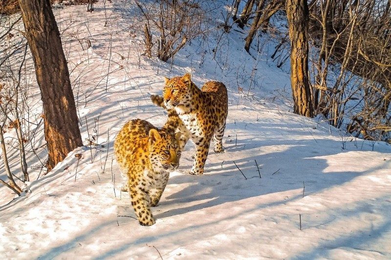 1768519081372621.jpg 8.jpg