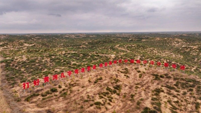 1768523947561000.jpg 14.jpg