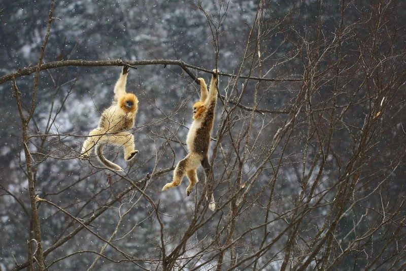 1768523997834580.jpg 17.jpg