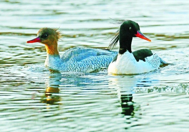 1768524192319940.jpg 23.jpg