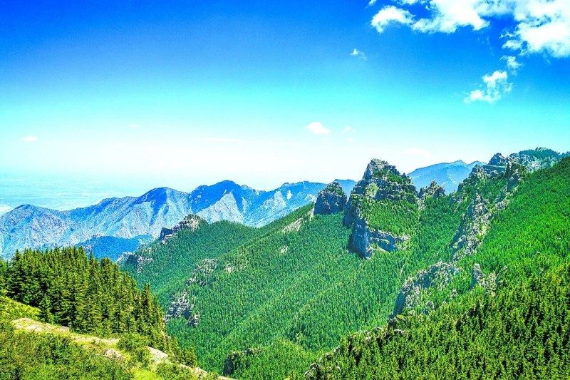 1768524348535450.jpg 25.jpg