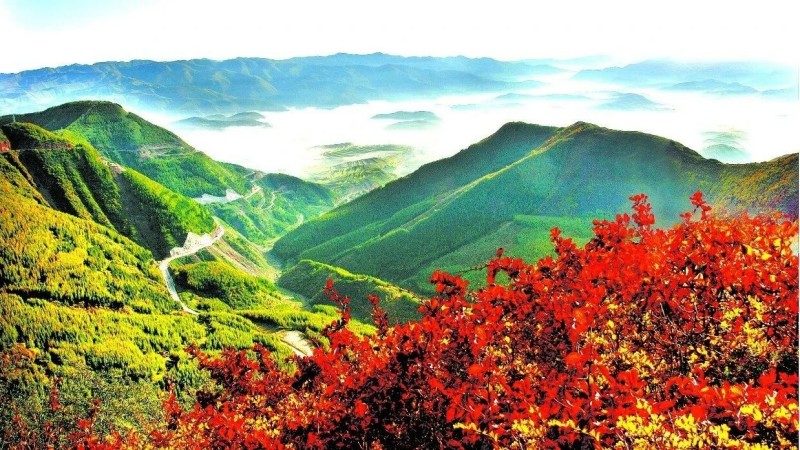 1768524379587360.jpg 27.jpg