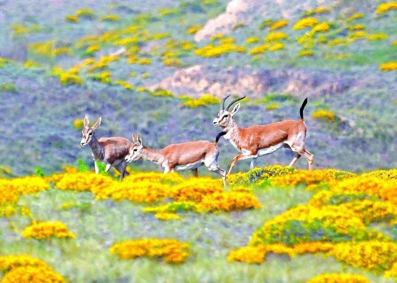 1768524410224940.jpg 28.jpg