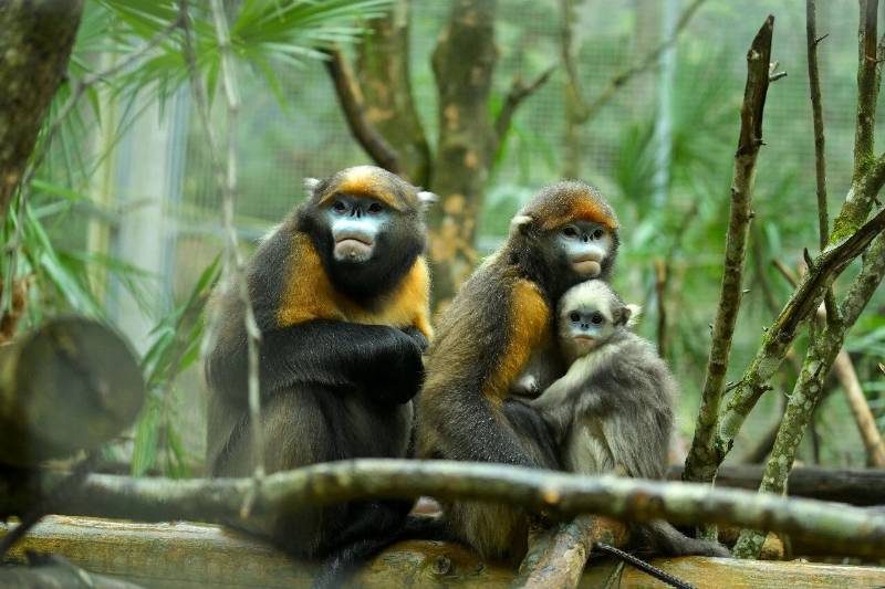 1768526231203337.jpg 2.jpg