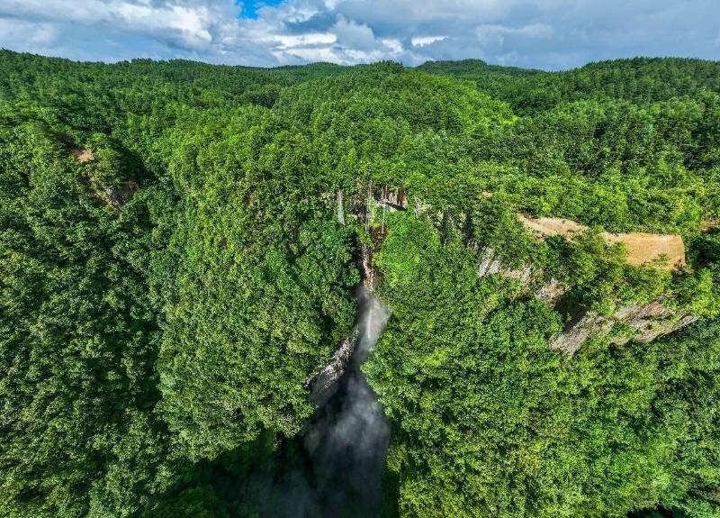 1768527276432981.jpg 3.jpg