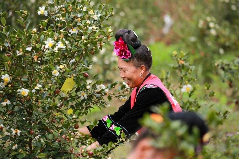 1768527299969361.jpg 4.jpg