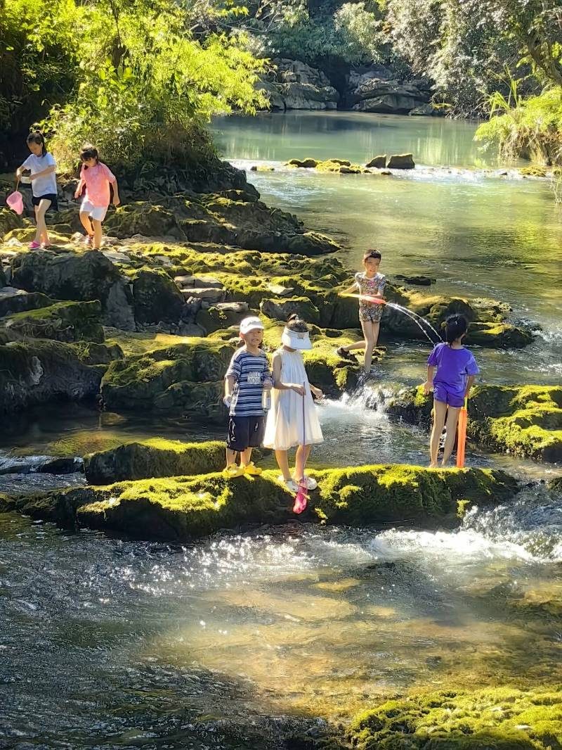 1768527316407263.jpg 5.jpg