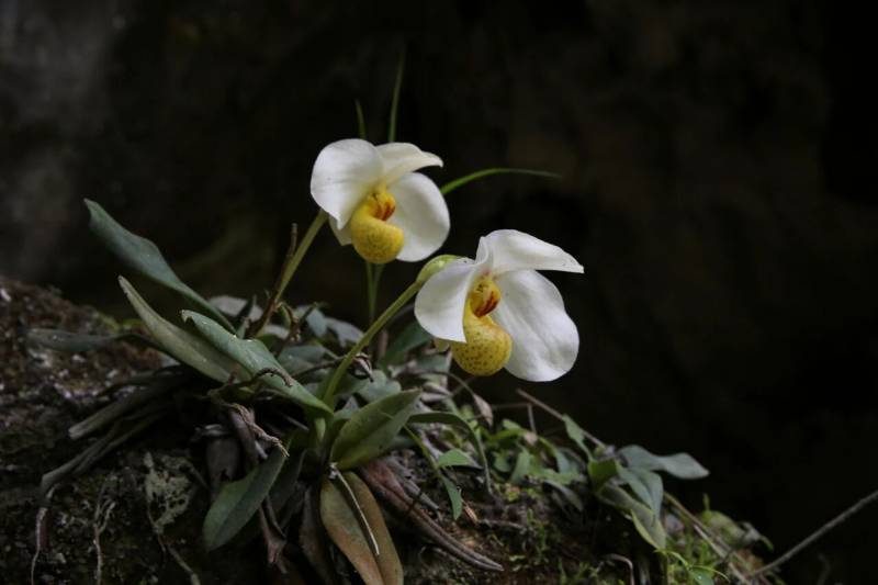 1768527336160953.jpg 6.jpg