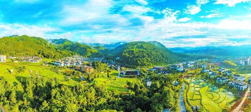 1768532170302480.jpg 46.jpg