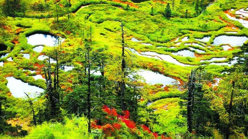 1768532490810532.jpg 49.jpg