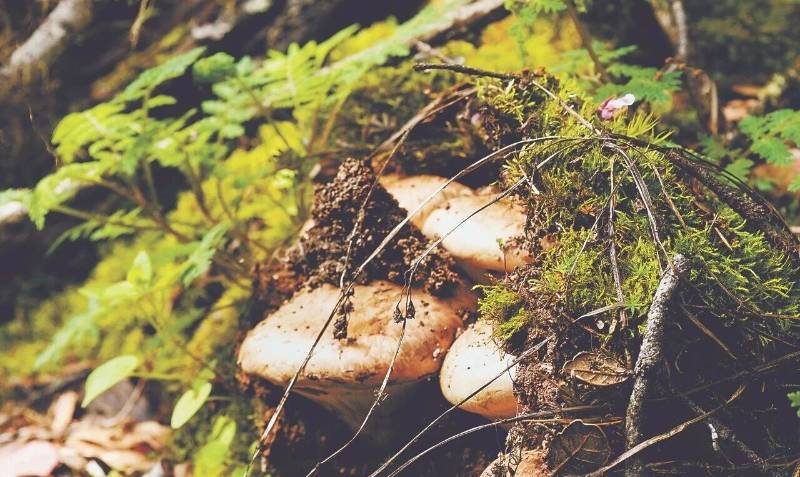 1768532567437791.jpg 53.jpg