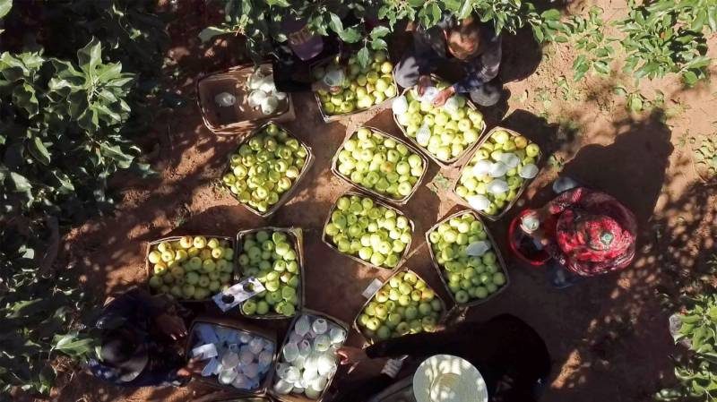 1768540282398643.jpg 64.jpg