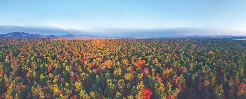 1768540556674061.jpg 69.jpg