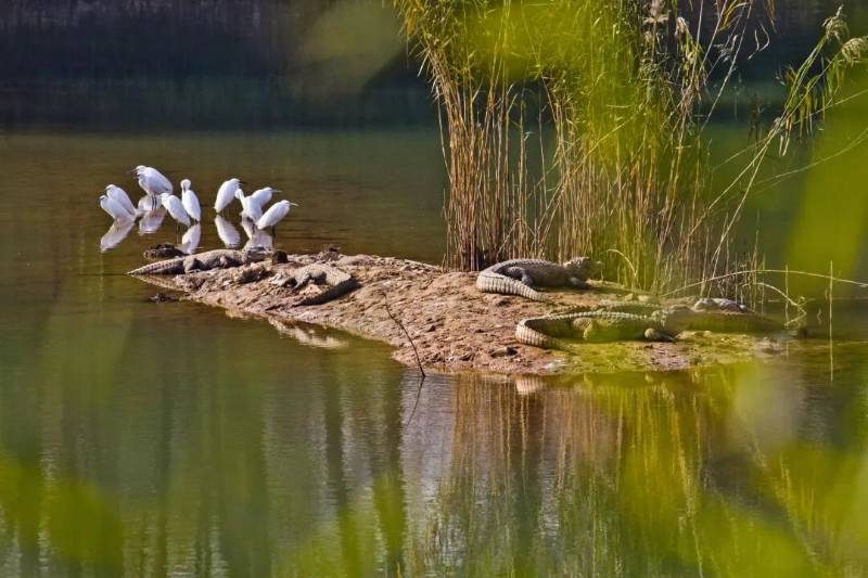 1768550893591988.jpg 2.jpg