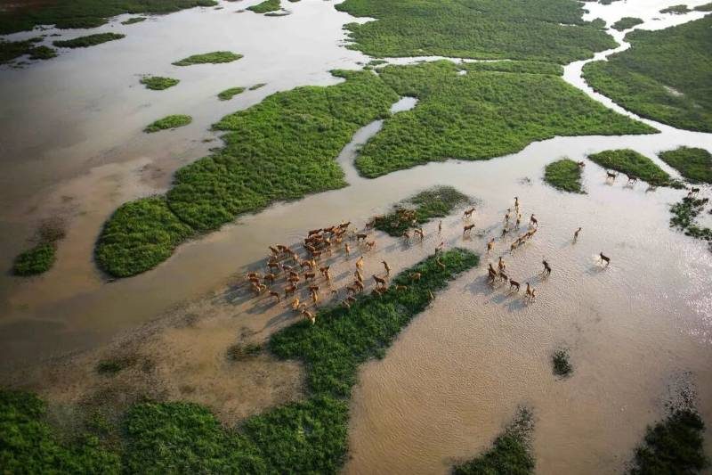 1768550912560846.jpg 3.jpg