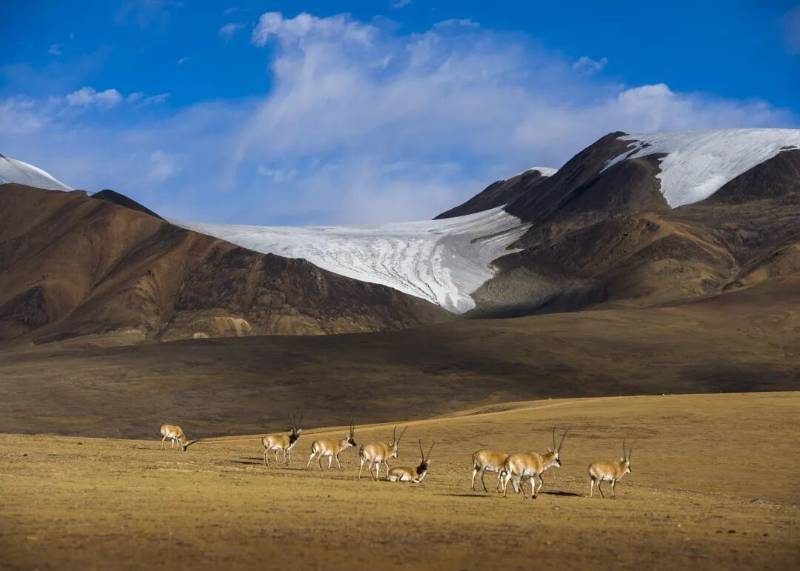 1768550931109199.jpg 4.jpg