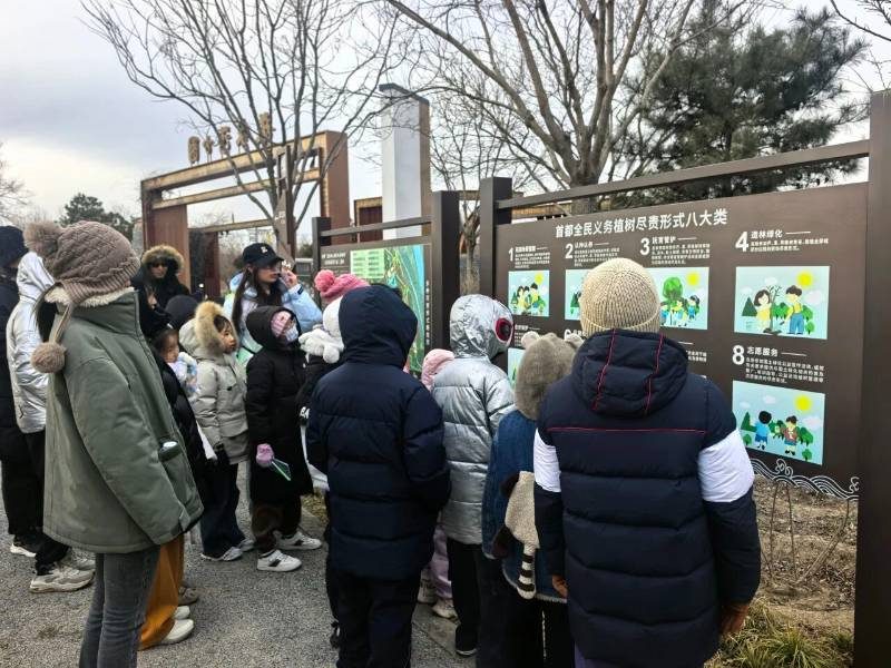 1768878704111763.jpg 4.jpg