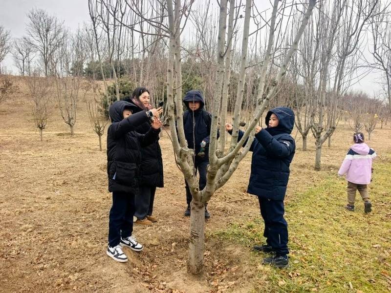 1768878715675704.jpg 6.jpg