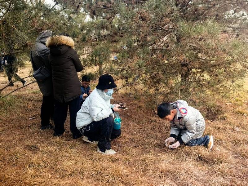 1768878718213506.jpg 7.jpg