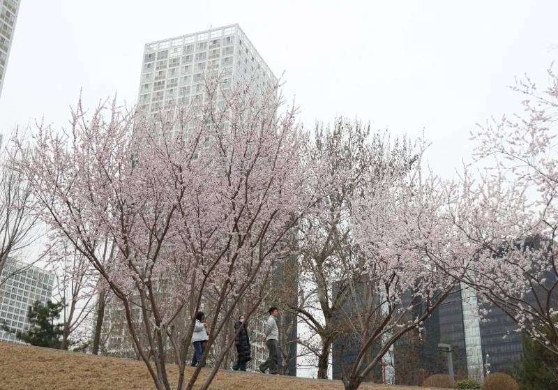 1769577680993433.jpg 2.jpg