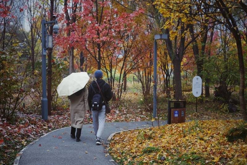 1769577698145402.jpg 1.jpg