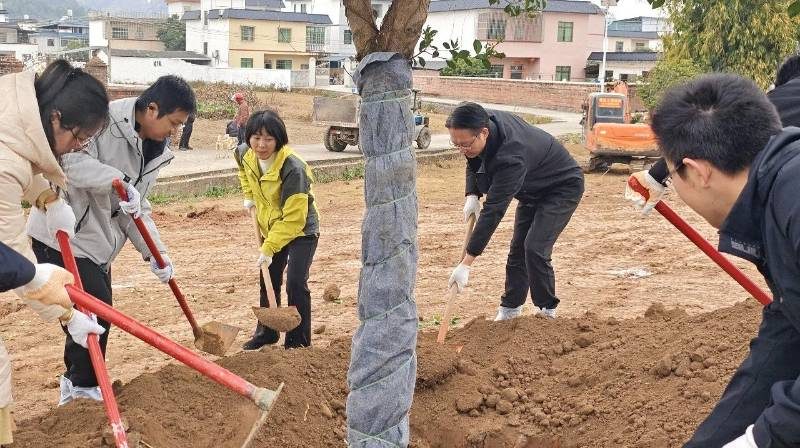 1769651571871920.jpg 1 (1).jpg