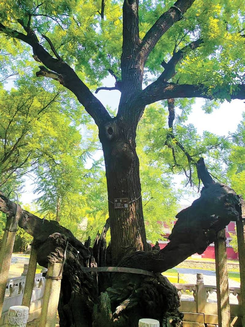 1769752295101105.jpg 2.jpg