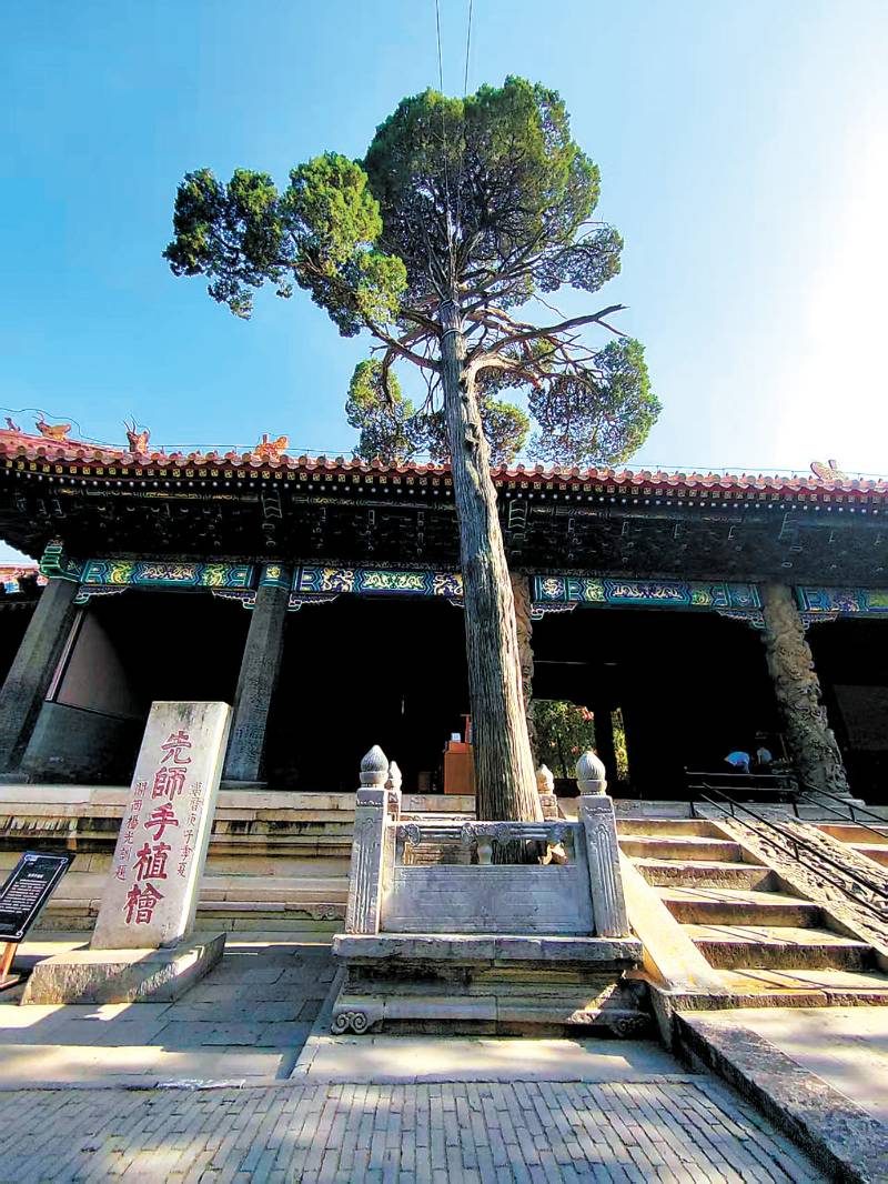 1769752312632554.jpg 3.jpg