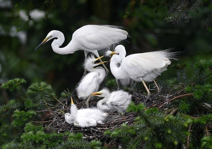 1770000356352176.jpg 4.jpg