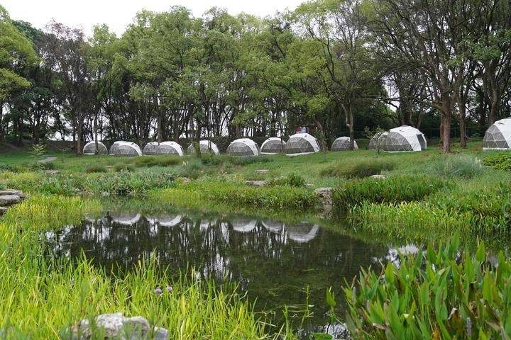 1770000421357804.jpg 8.jpg