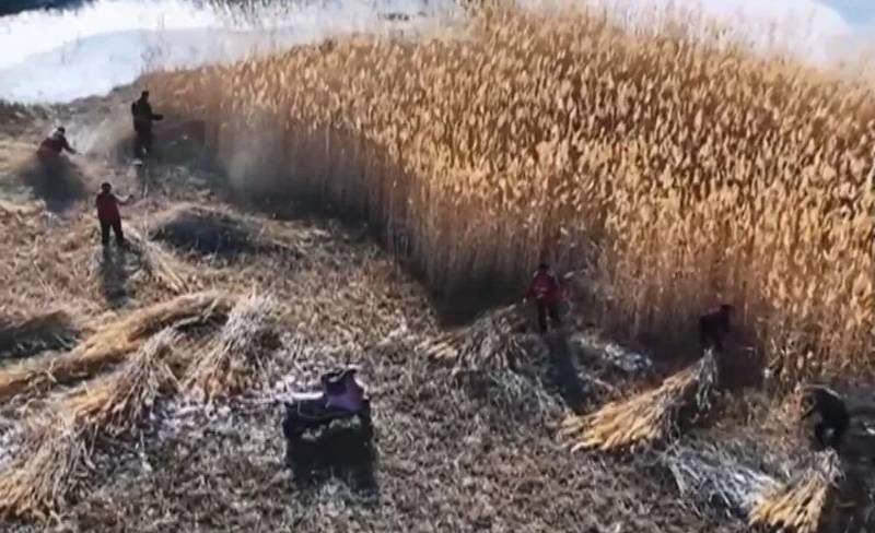 1770000810137547.jpg 12.jpg