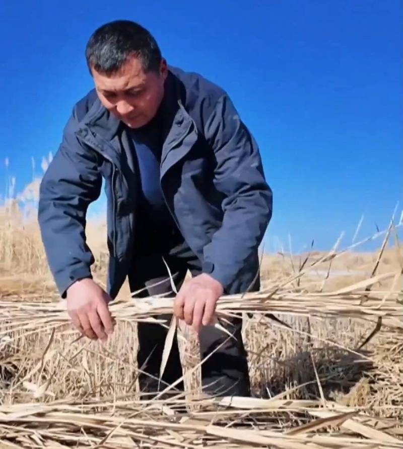 1770000821235479.jpg 13.jpg