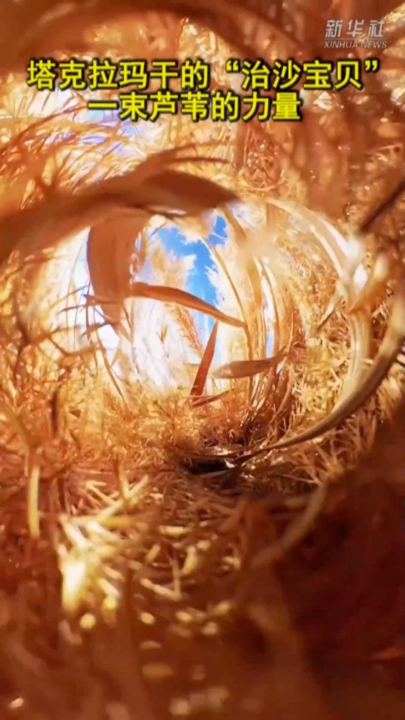 1770000830752510.jpg 14.jpg