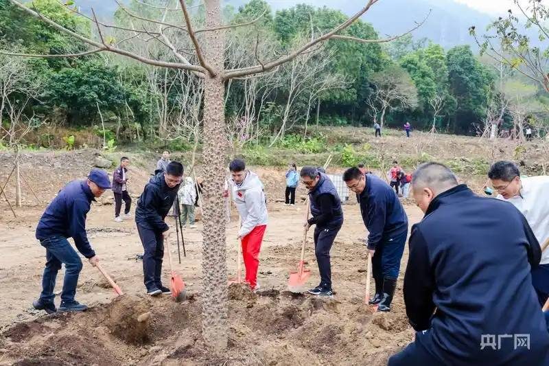 1770172105360464.jpg 1 (1).jpg