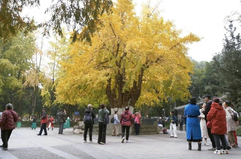 1770173544444705.jpg 1.jpg