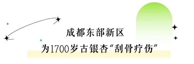 1770173555891234.jpg 2.jpg