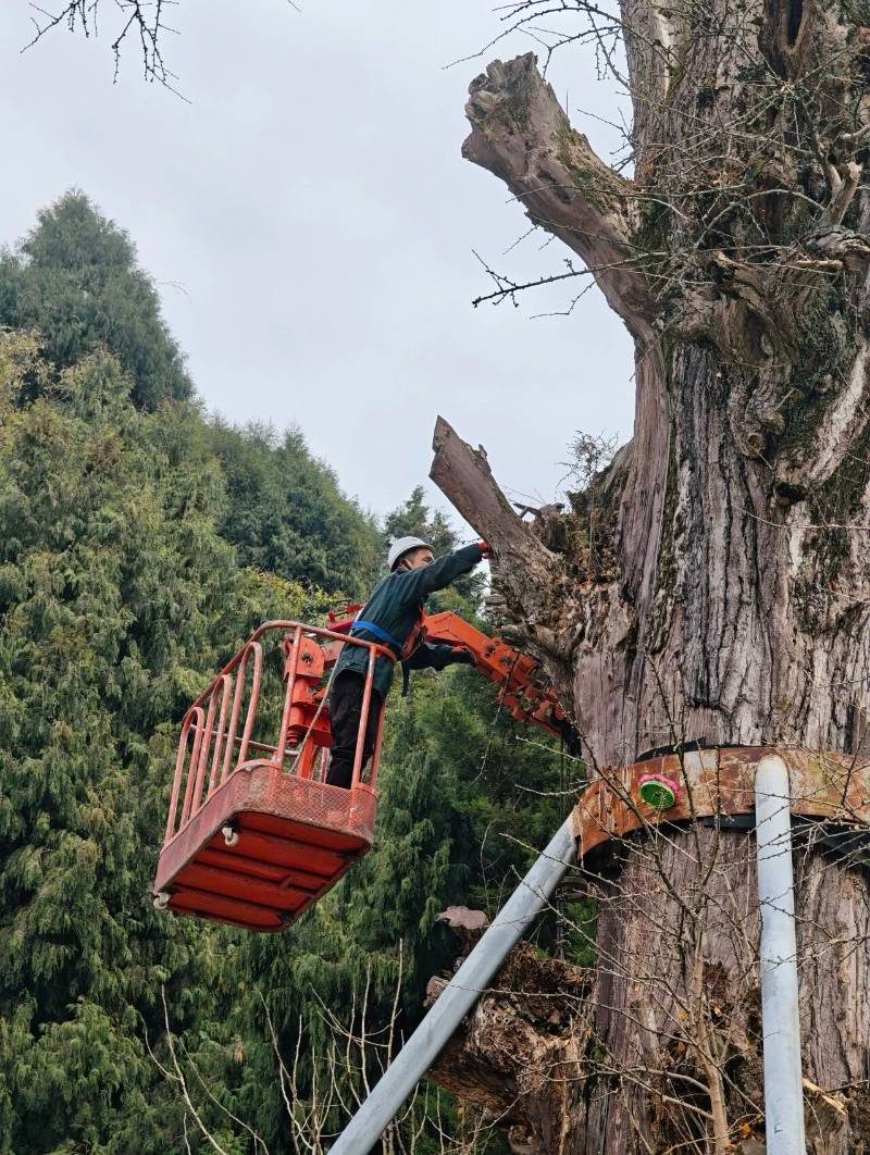 1770173563219903.jpg 3.jpg