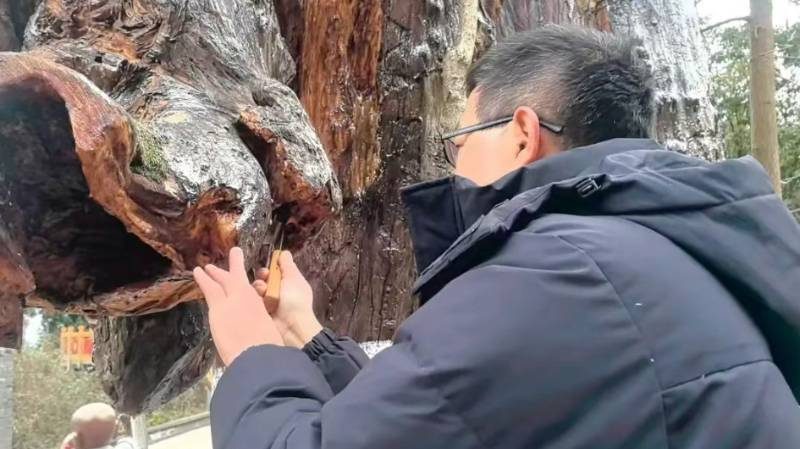 1770173572342146.jpg 4.jpg