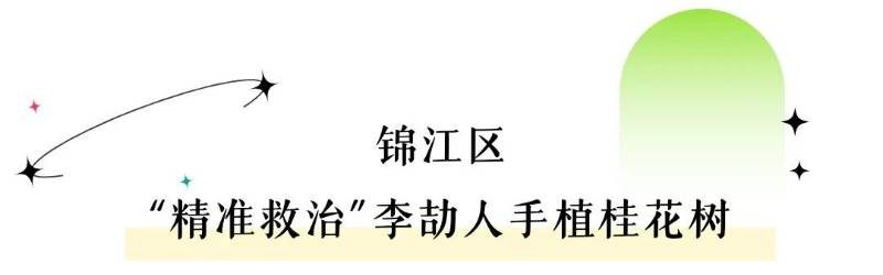 1770173588895135.jpg 6.jpg