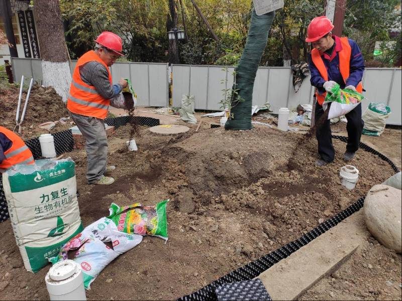 1770173595324178.jpg 7.jpg