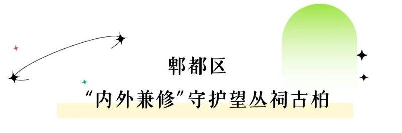 1770173612957948.jpg 9.jpg