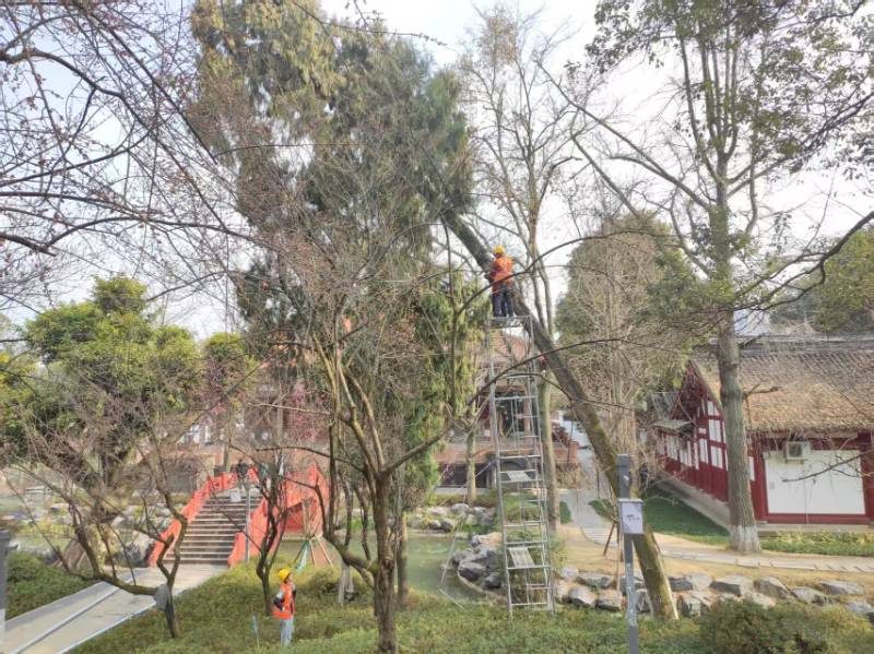 1770173620656227.jpg 10.jpg